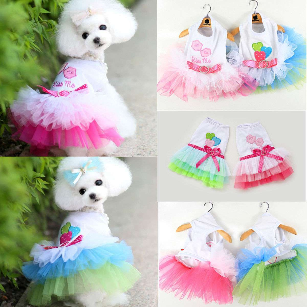 Köpek Tütü Kostüm