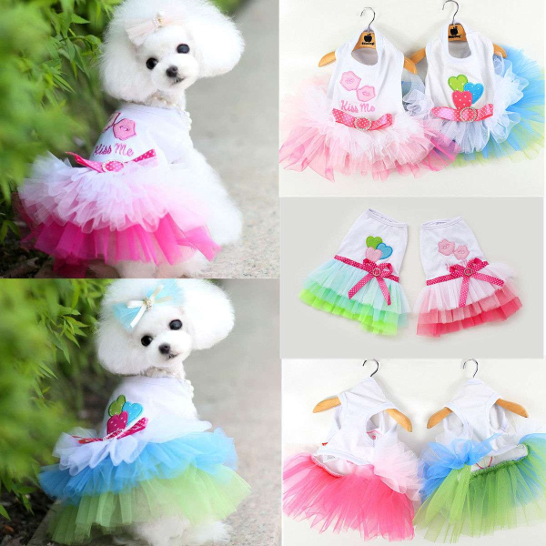 Köpek Tütü Kostüm